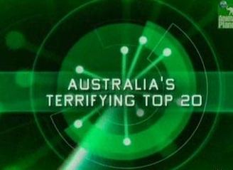 20 самых страшных животных Австралии