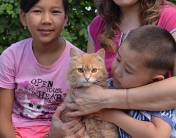 В Саратовской области кот Рыжик отпугнул от дома хозяев гадюку